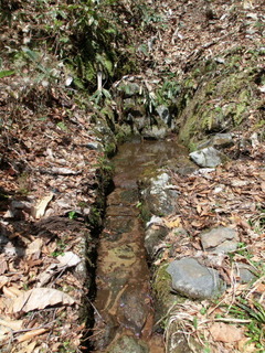 CIMG6578.jpg