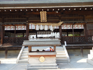 DSCN0532.jpg