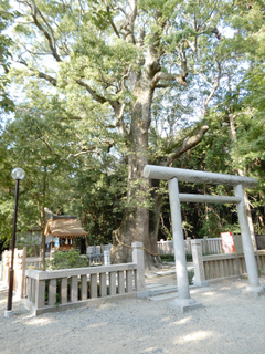 DSCN0535.jpg
