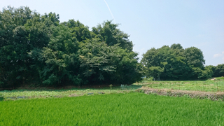 DSC_0651.JPG